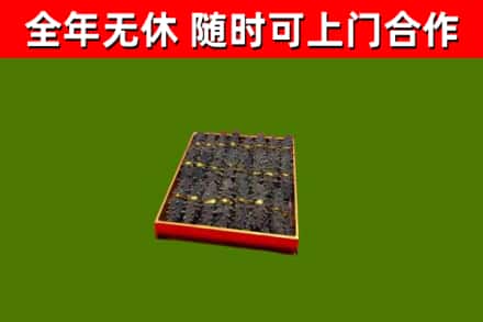 盘山回收海参